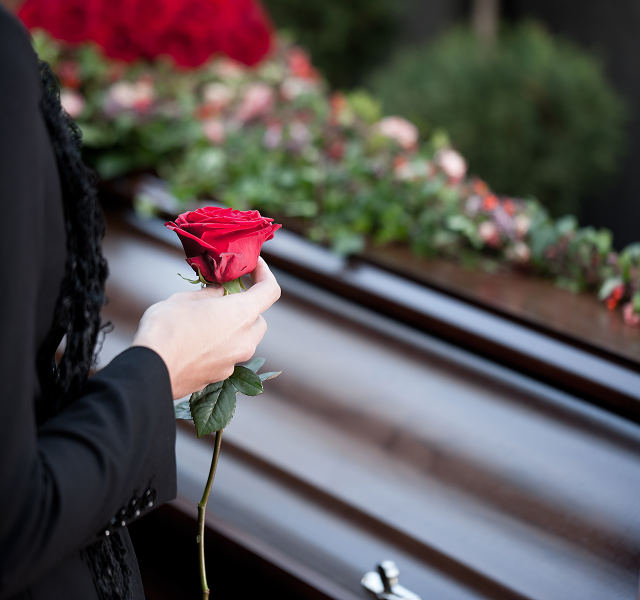 holding single red rose